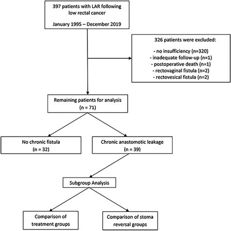 Statistical Model Selection Flowchart に対する画像結果