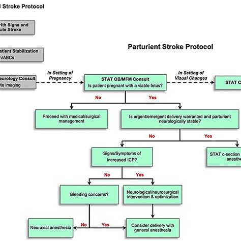 Afbeeldingsresultaten voor Adult Stroke Algorithm
