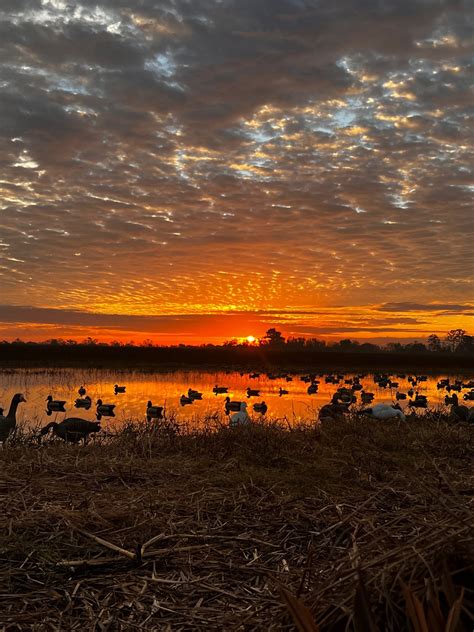 Image result for Pirogue Hunting Boats