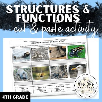 Toradh íomhá ar Structures vs Processes