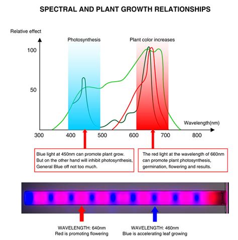 Image result for Plant LED Spectrum