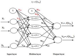 Image result for Backpropagation Neural Network Diagram