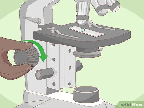 Image result for Microscope How to Use Step by Step