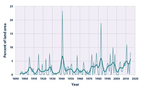 Afbeeldingsresultaten voor Rainfall Graph