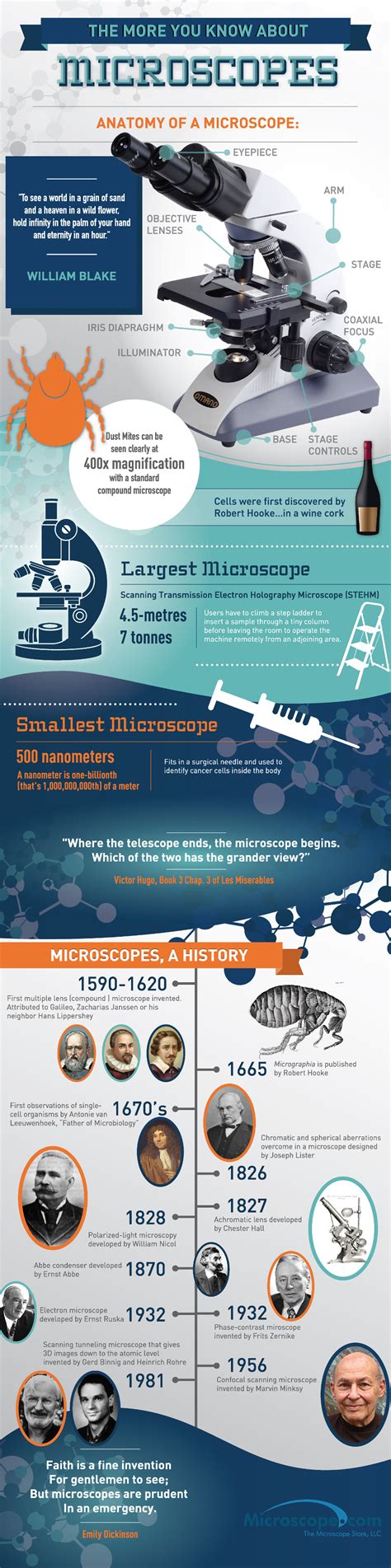 Image result for First Microscope Anatomy