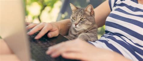 Word Draw Function に対する画像結果