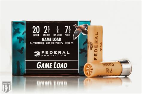 Image result for AW Best Shell