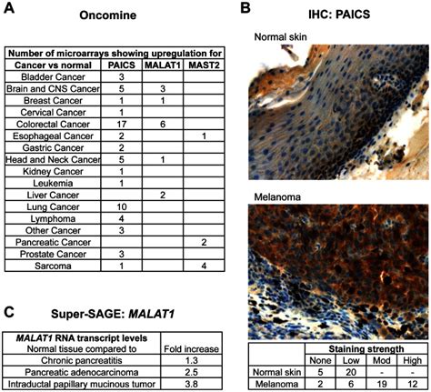 Image result for Cancer Microarray Database