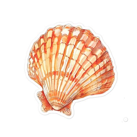 Toradh íomhá ar Cauwrie Shell Sticker