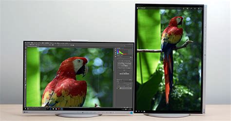 Image result for Multi Screen Display