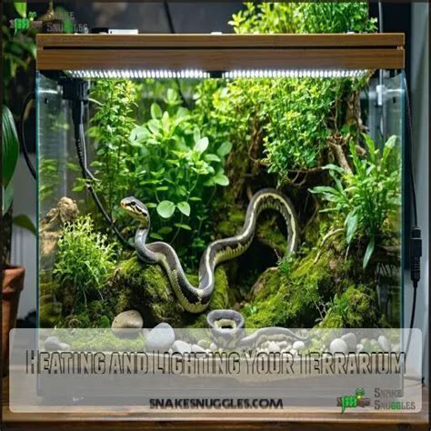 Image result for Terrarium Background Spotted Python