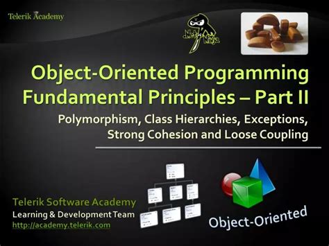 Object-Oriented Programming 5 Principles に対する画像結果