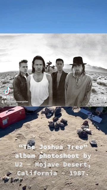 Afbeeldingsresultaten voor Joshua Tree 1987