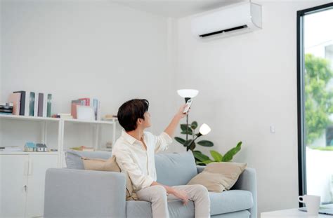 Ductless Mini Split AC System に対する画像結果