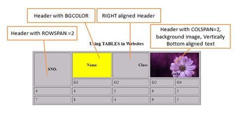 Table Th HTML に対する画像結果