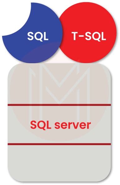 Afbeeldingsresultaten voor T-SQL SVG Logo