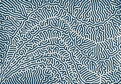 Image result for Diffusion Pattern