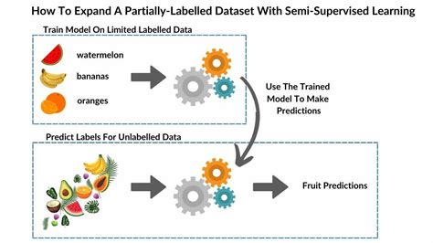 Image result for Examples of Semi Supervised Machine Learning