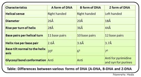 Toradh íomhá ar Difference Between Type and Form