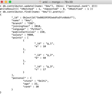 Image result for How to Increment in Python