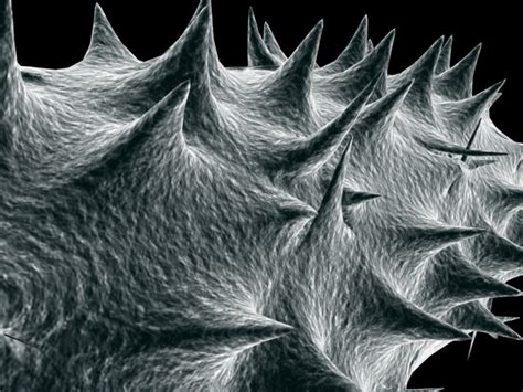 Bildergebnis für Virus Microscope Model