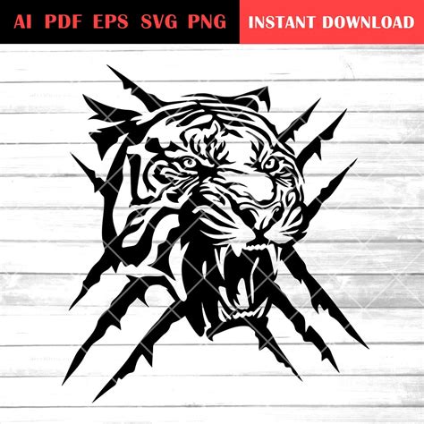 Image result for Tiger for Scratch Coding