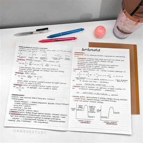 Image result for Neat Work Student Example