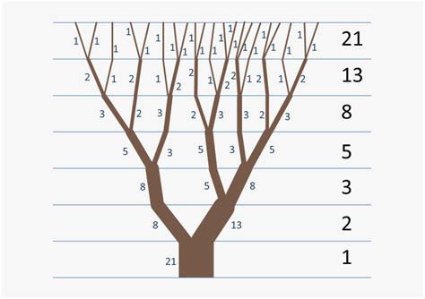 Image result for Easy Fibonacci Sequence Patterns
