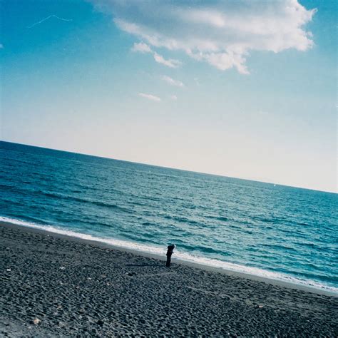 Line Art Disk Array に対する画像結果