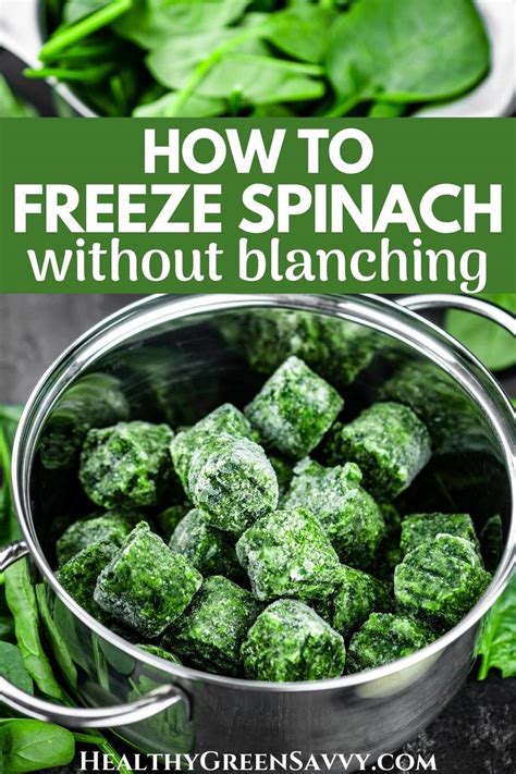 Image result for How to Freeze Spinach Leaves