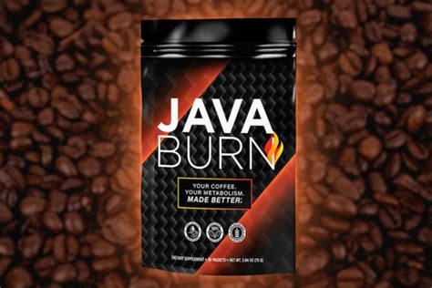 Image result for Java Burn PDF