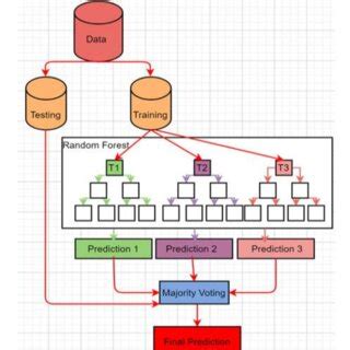 Random Forest Flow Chart に対する画像結果
