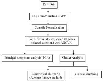 Image result for Microarray Data Analysis Chart