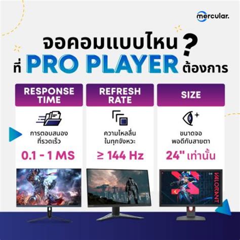 Pro Player Windows に対する画像結果