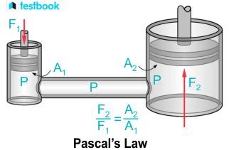 Pascal Definition-এর ছবি ফলাফল