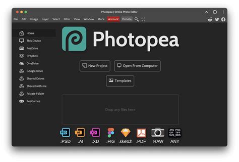 Image result for Photopea Tools Labeled