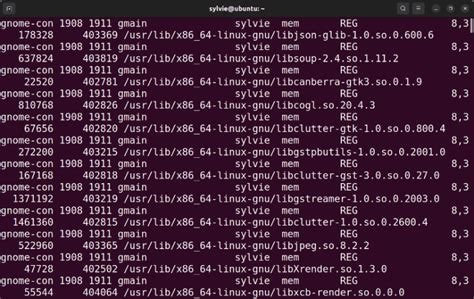 Image result for Example of Lsof Used in Cmd PMP
