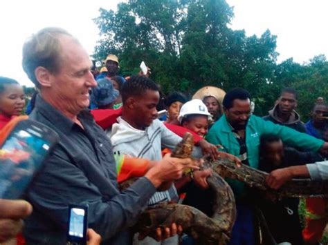 Image result for 7 Metre Python