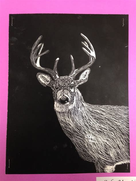 Scratch Art Animals - North Woods Art
