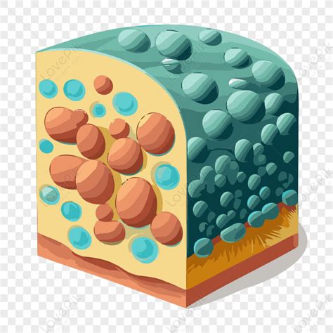 Membrane Module Cartoon に対する画像結果
