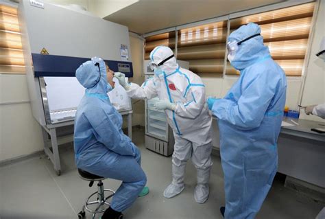 Image result for How Is RT-PCR Test Done