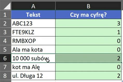 Image result for Excel-Formula Zawiera