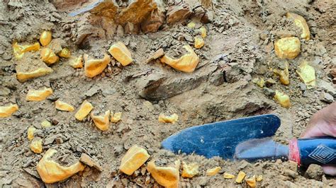 Image result for Natural Gold Dig