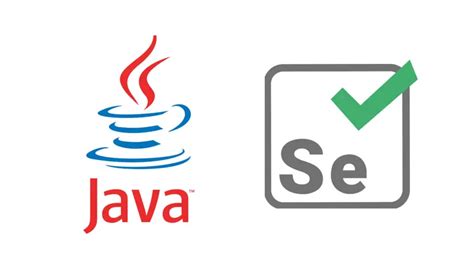 Toradh íomhá ar Java Selenium Training