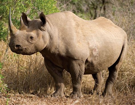 Rhino Architecture Rendering に対する画像結果