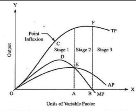 Image result for Production Function in Short Run