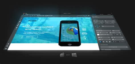 Image result for Macaw Web Design Software