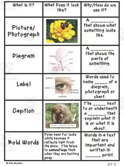 Image result for All Types of Text Features