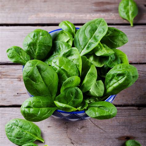 Image result for Spinach Leaves Images without Colour