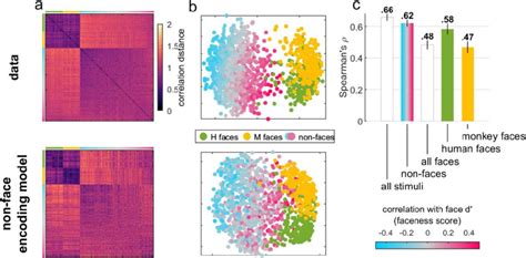 Afbeeldingsresultaten voor encoding specific